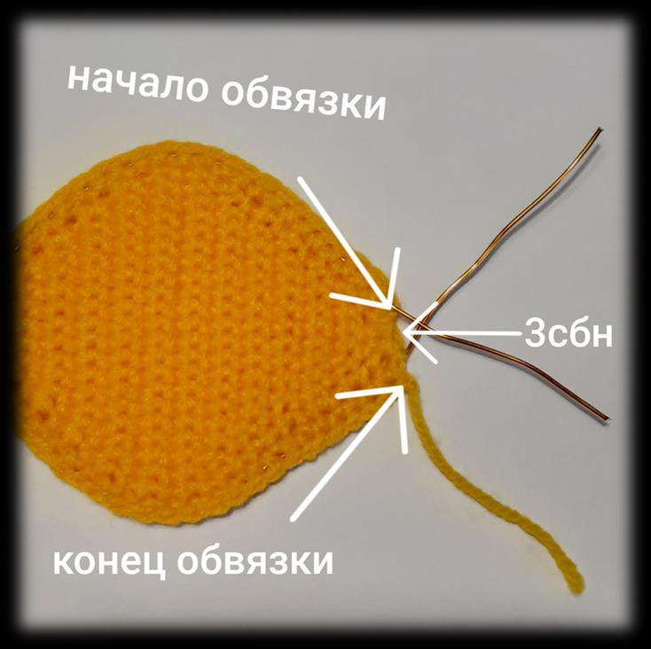Бабочка Шоколадница — этап 8