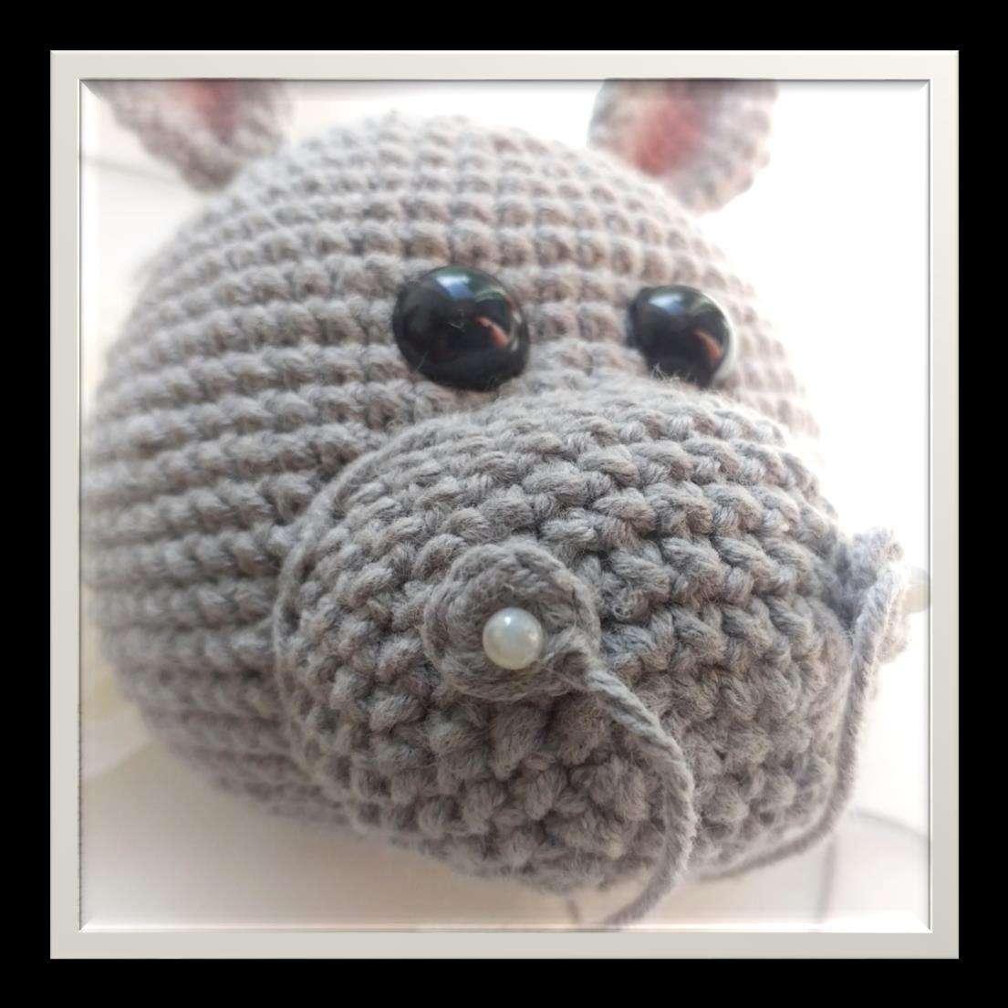 Бегемоша — этап 13