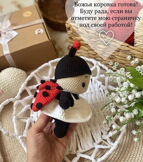 Божья коровка — фото сборки