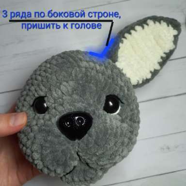 Бульдог Арни — этап 17