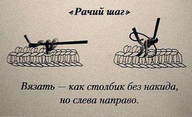 Бурёнка Василиса — этап 218