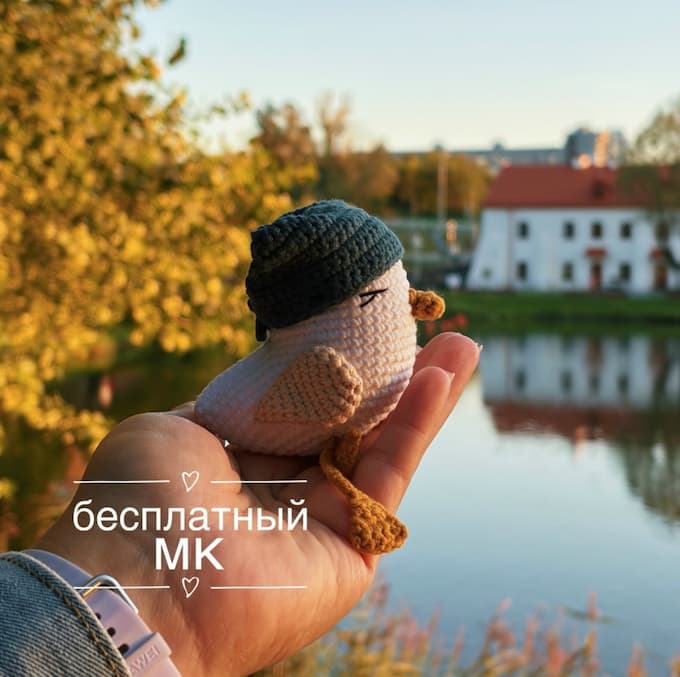 Чайка — схема амигуруми