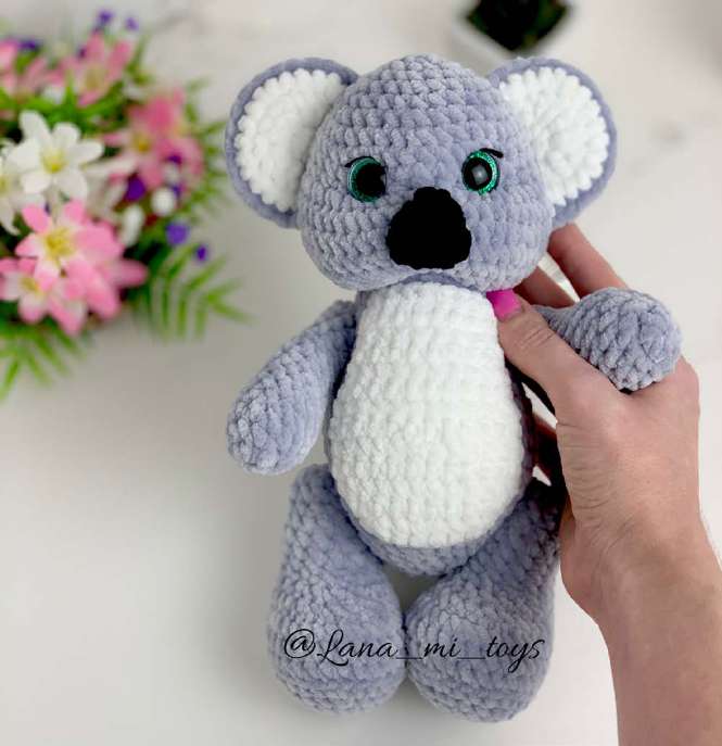 Коала — этап 36