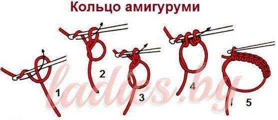 Коала Лиам — этап 1