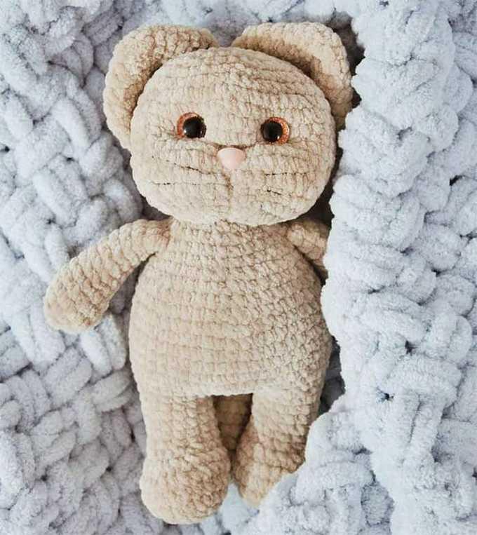 Кот Персик — этап 1