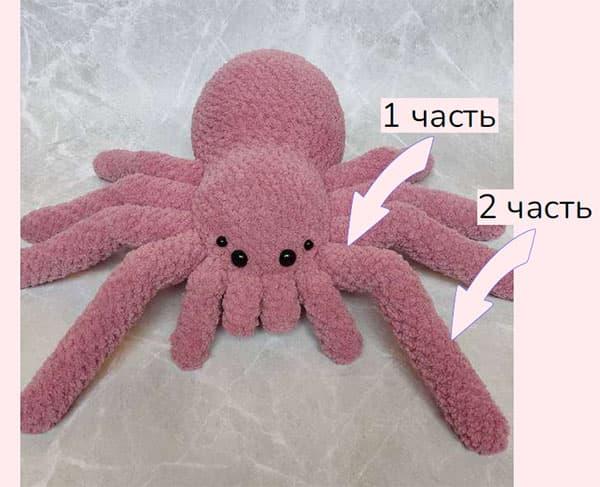 Паук — этап 1
