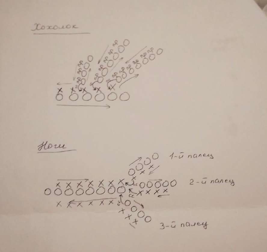 Петушок — этап 2
