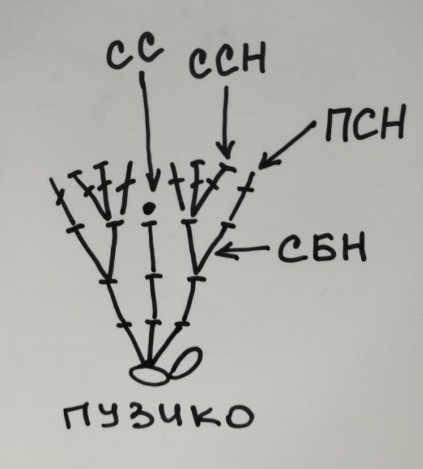 Плюшевый зайка — этап 1