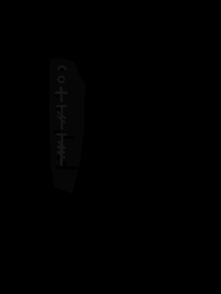 Подсолнух — этап 13