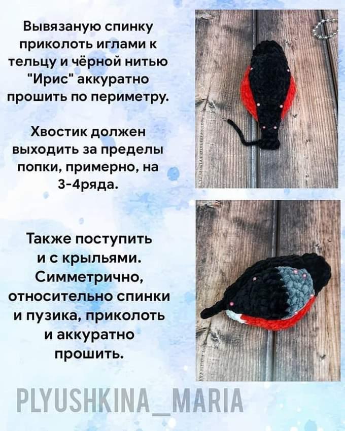 Снегирь — фото сборки