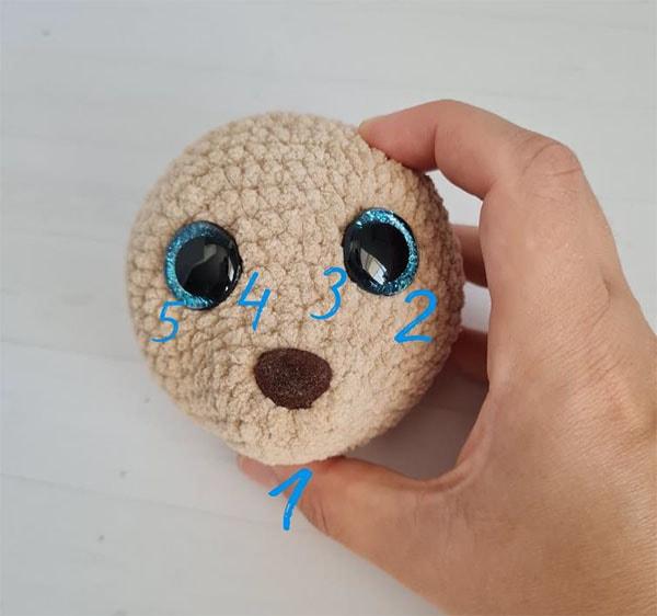 Собачка Молли — этап 1