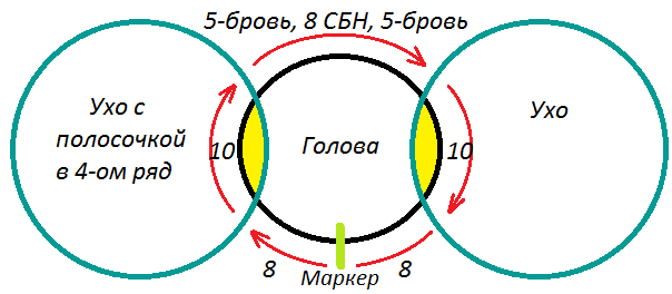 Собачка Пуговка — этап 1