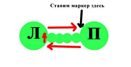 Собачка Рони — этап 9
