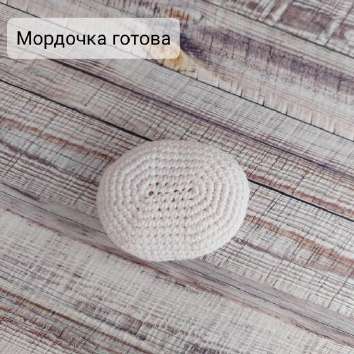 Собачки Дружок и Подружка — этап 14