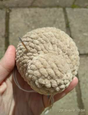 Волчонок и щенок — этап 6